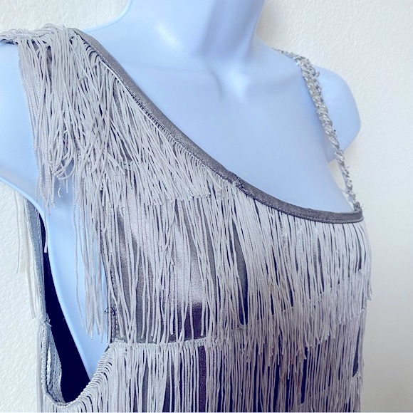 Taylor Swift Concert Ready! Sleeveless, Tassel Strap and Sequined Strap - Picture 3 of 5